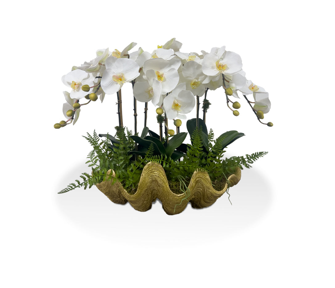 Gold Vase White Orchids