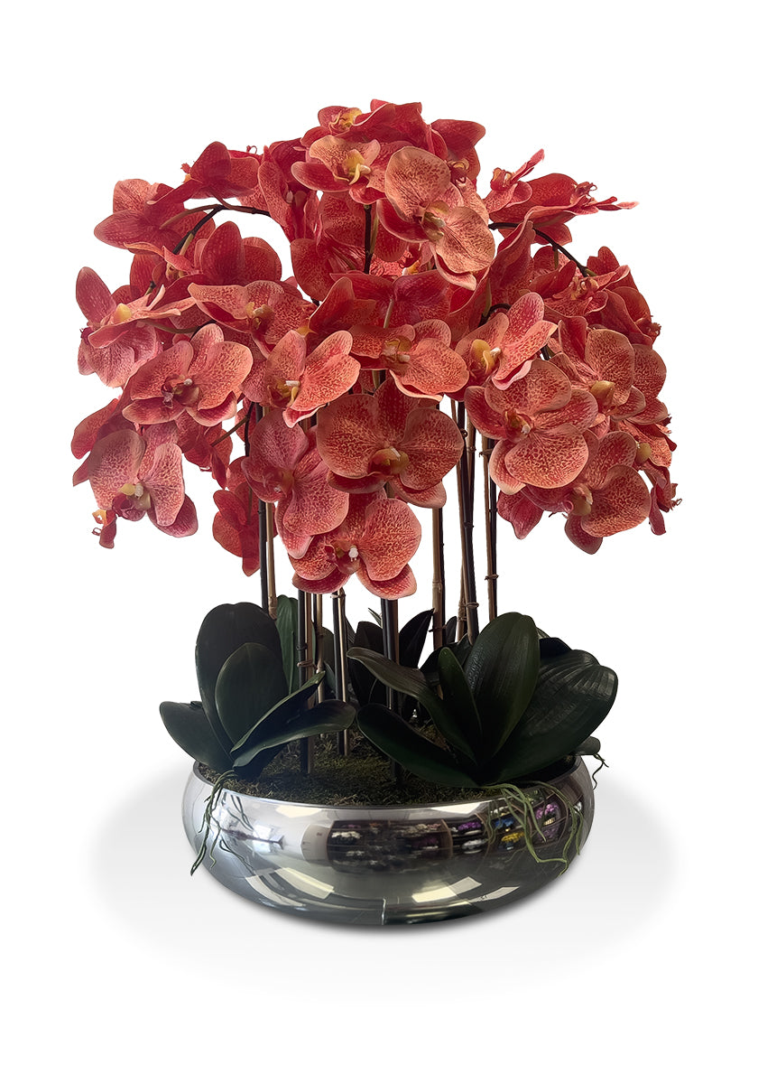 Red Orchid Arrangement