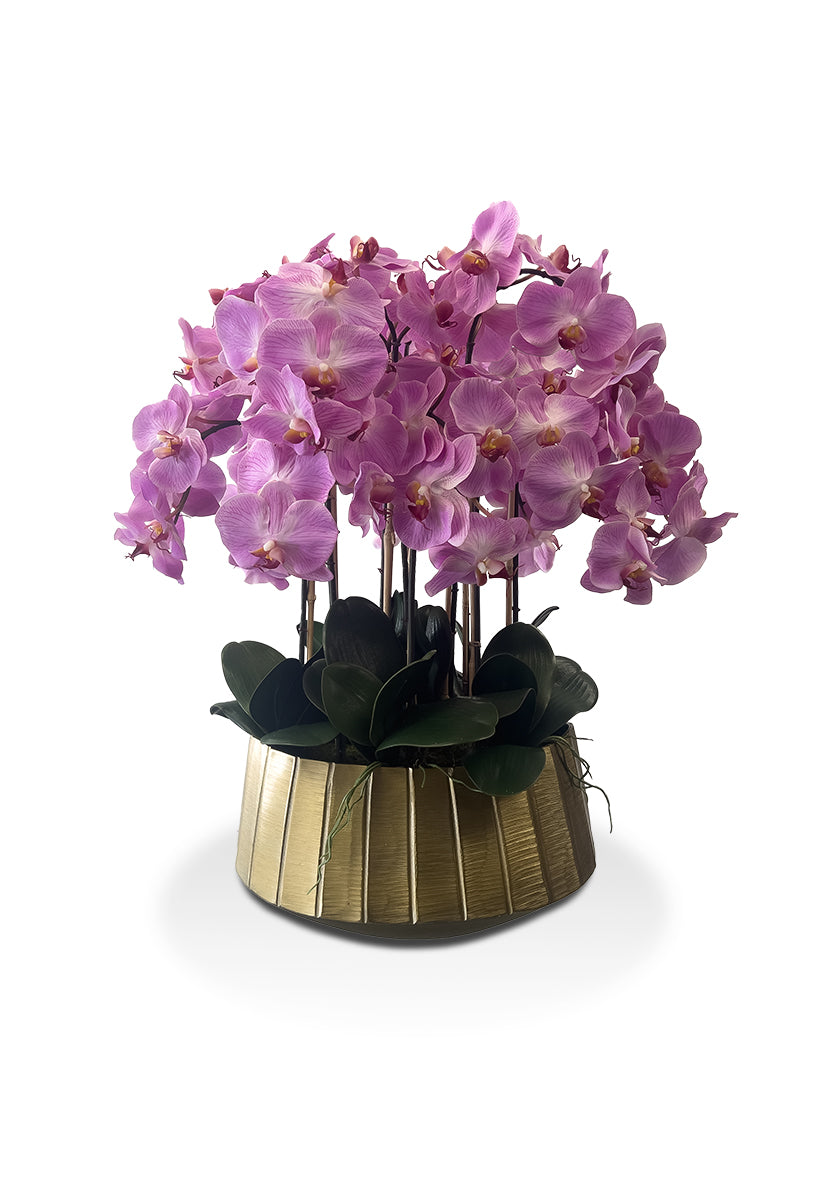 Golden Grace Orchid Arrangement ✨