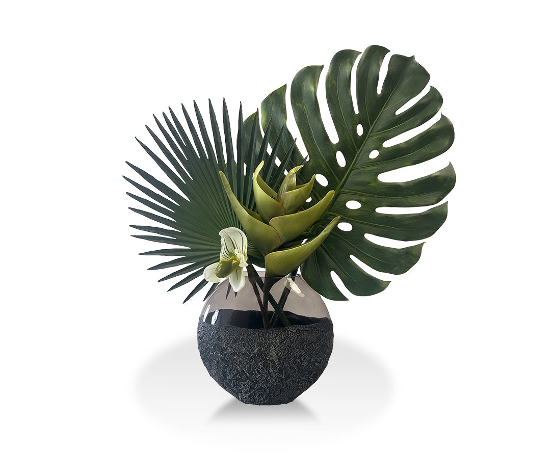 Modern Monstera 🌿