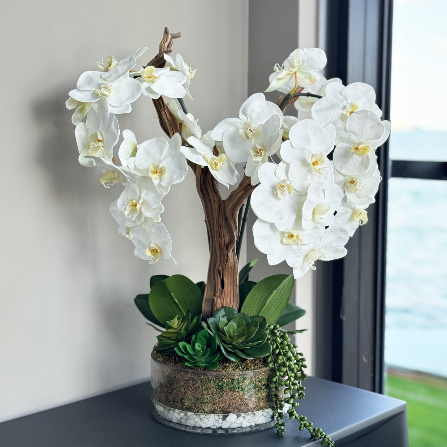 White Orchids Arrangement