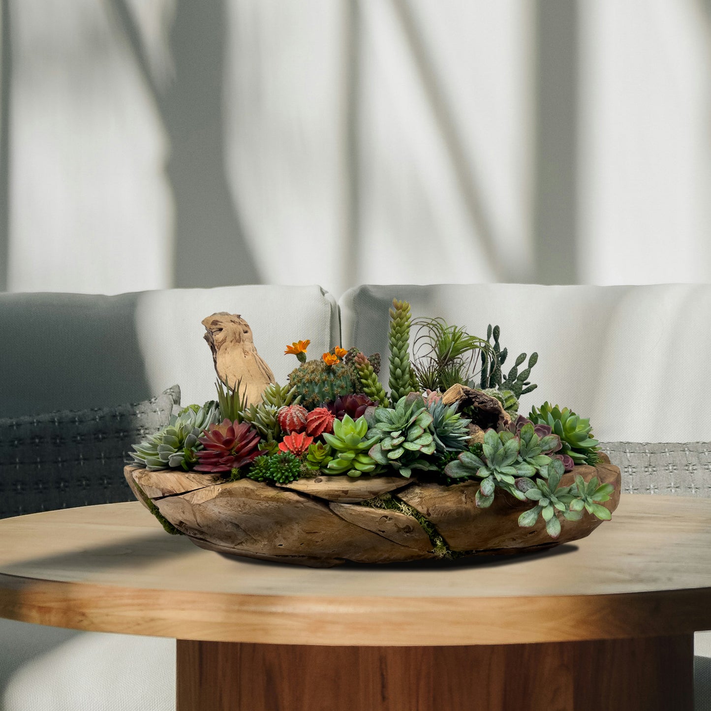 Succulent Arrangement