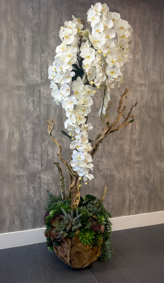 Orchid Cascade Elegance✨