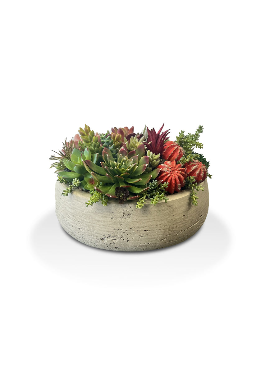 Succulent Mini Bowl