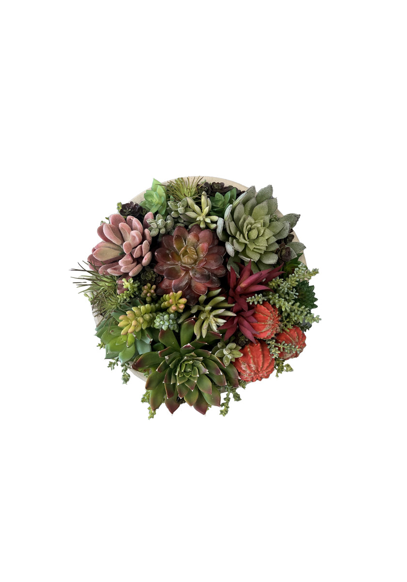 Succulent Mini Bowl