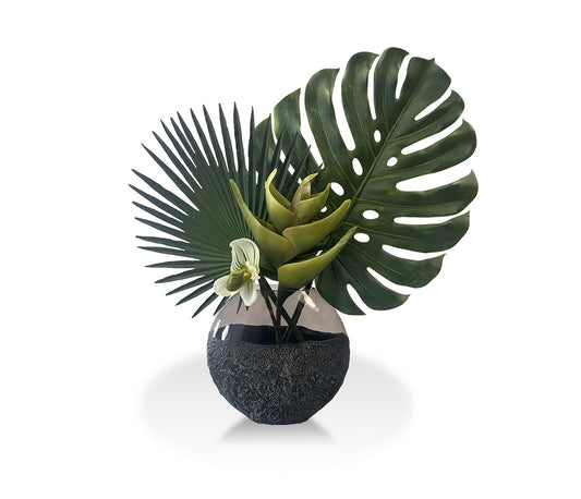 Modern Monstera 🌿